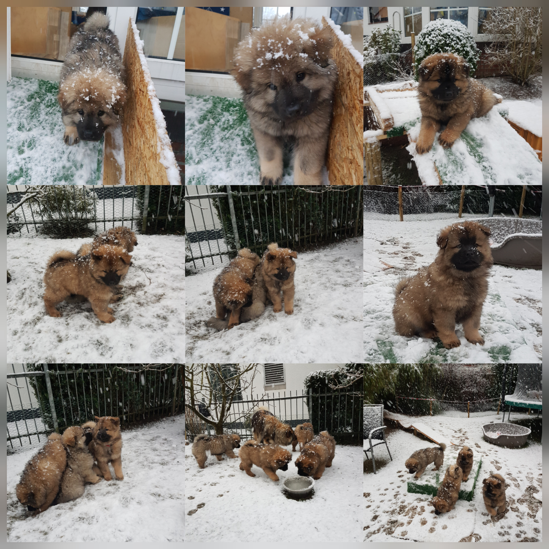 Es schneit...kommt alle in den Garten :-)